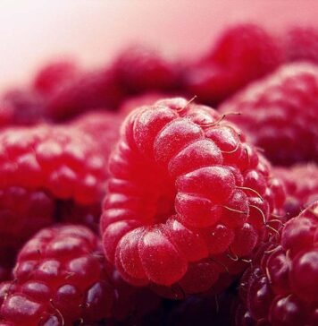 Treatment for Chronic Lymphatic Leukaemia to Replace Chemo